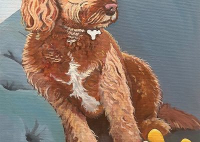 Buzz The Dog