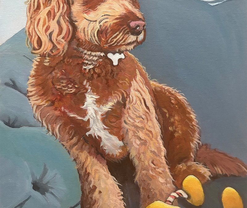 Buzz The Dog