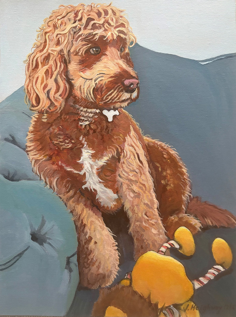 buzz the dog pet portraits