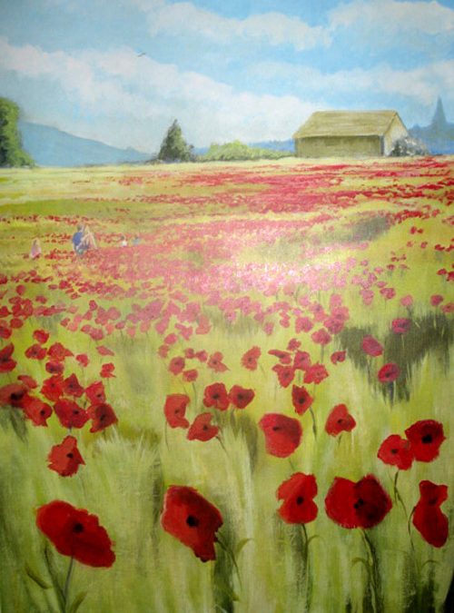 Poppy Field